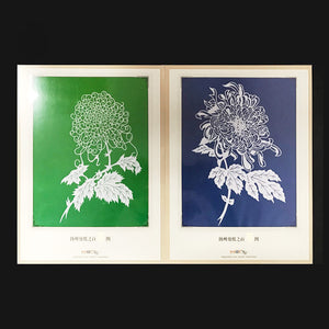 Single piece of chrysanthemum