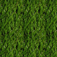 Load image into Gallery viewer, Landscape Grass/408818-XO