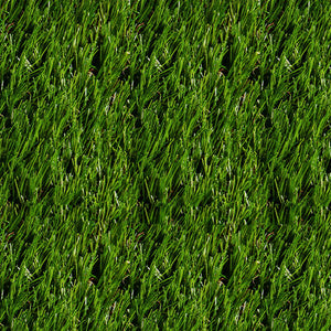 Landscape Grass/408818-XO
